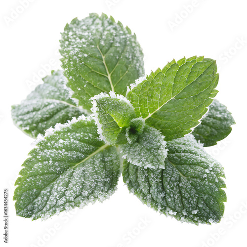 Frosted mint leaves isolated on transparent background