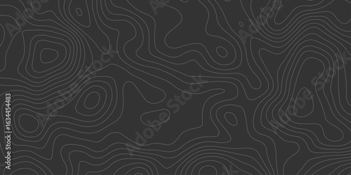 Black minimal background with thin terrain contour lines forming elevation curves, ideal for presentations, UI/UX design, and geographic-inspired artwork.

