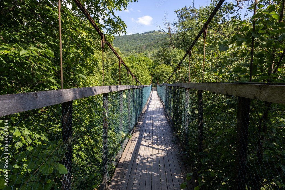 Obraz premium Suspension bridge in the forest — a narrow wooden pathway with railings and wire mesh, stretching across lush green trees.