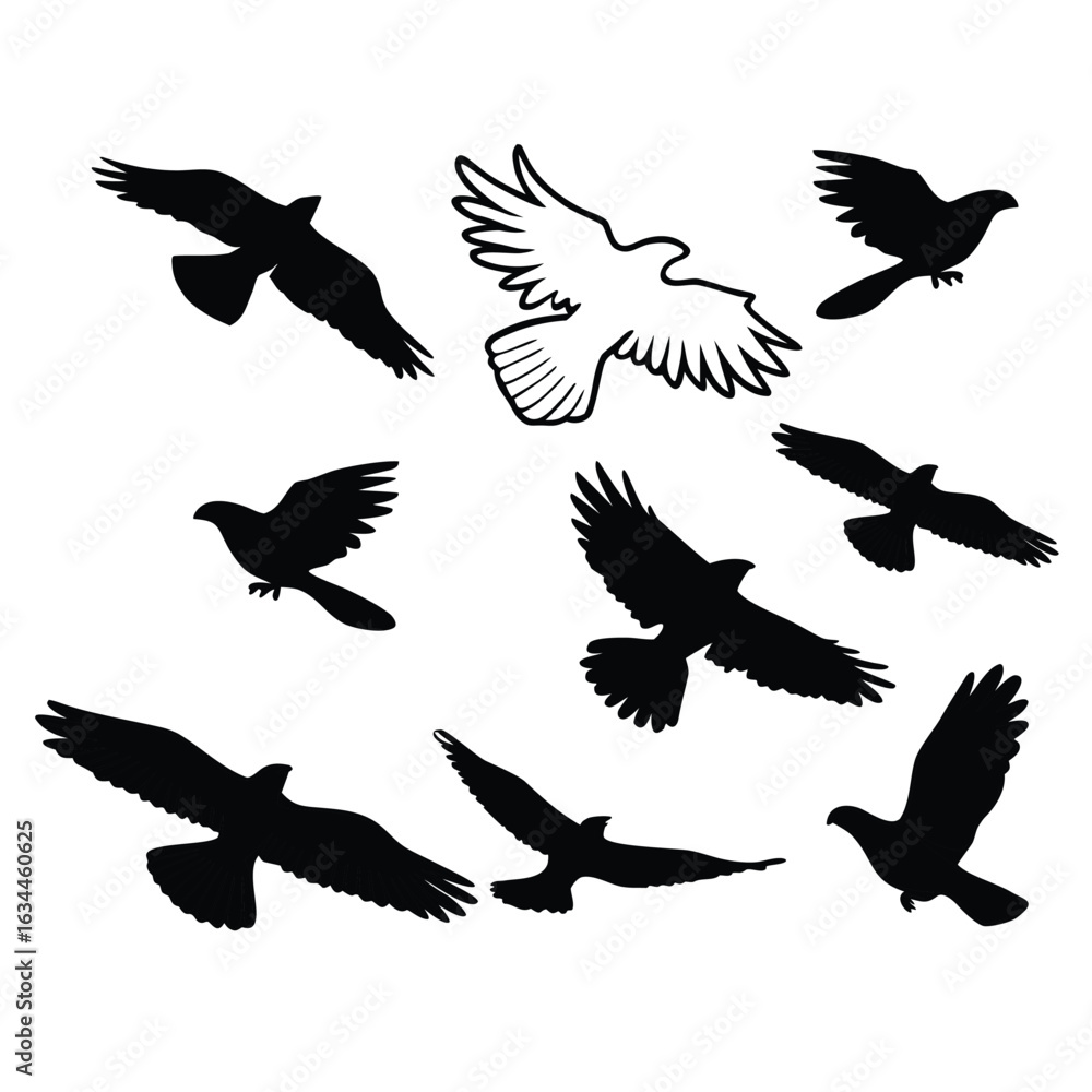 Fototapeta premium A set of black vector silhouettes of various flying birds like eagles