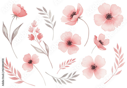 Collection of delicate pink watercolor flowers and botanical elements isolated on transparent background
