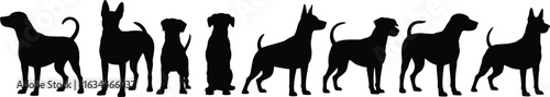 Silhouettes of various dog breeds standing in a row, black vector illustration, different dog postures, pet shapes, canine profiles, dog breed diversity, isolated on white background