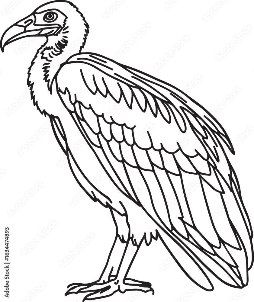 Fototapeta premium Vulture Silhouette Vector Illustration – Side View Line Art of Perched Bird for Wildlife and Educational Designs