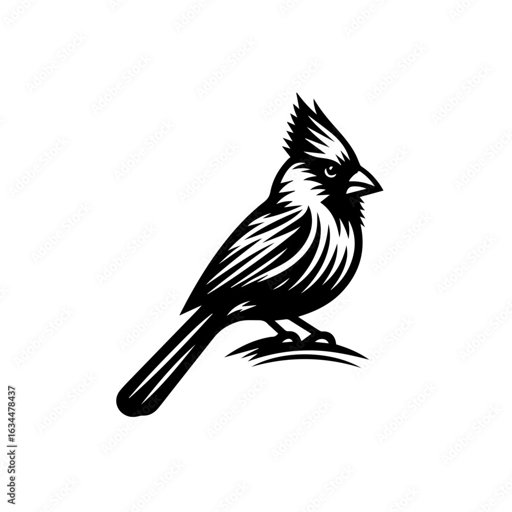 Obraz premium Black and White Cardinal Illustration 1.