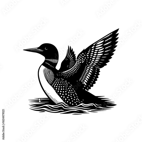 Black and White Loon Illustration 1.