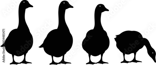 Silhouette geese vector illustration black and white image