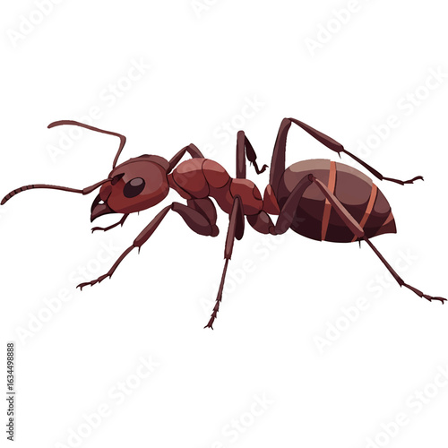 Illustration of a reddish-brown ant with detailed legs, antennae, and segmented body, isolated on a white background.