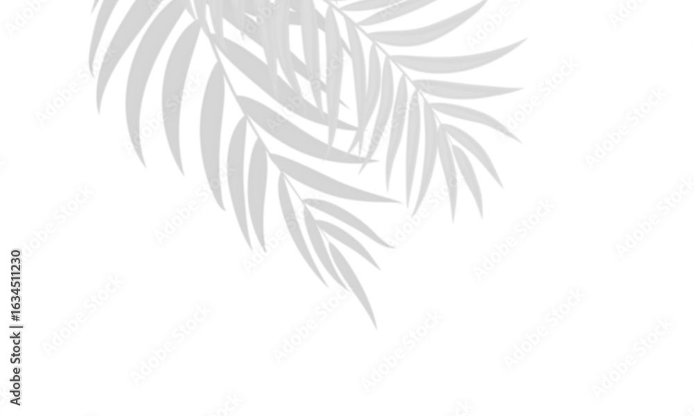 Fototapeta premium Realistic shadow overlay effect. Natural palm leaf shadows isolated on transparent background. Tropical coconut branch shade, foliage silhouette decoration. Design element for summer spring projects