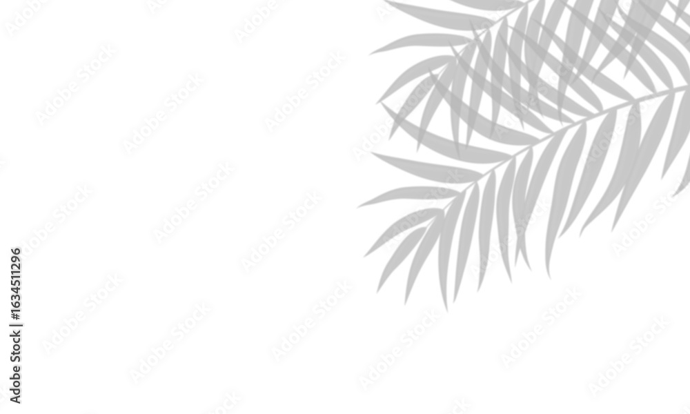 Naklejka premium Realistic shadow overlay effect. Natural palm leaf shadows isolated on transparent background. Tropical coconut branch shade, foliage silhouette decoration. Design element for summer spring projects