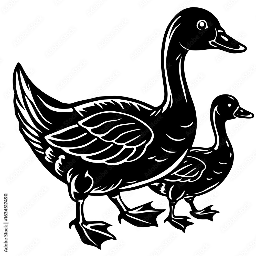 Obraz premium duck isolated on white background