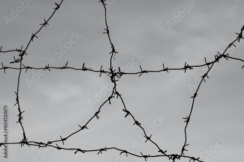 barbed wire against a grey sky