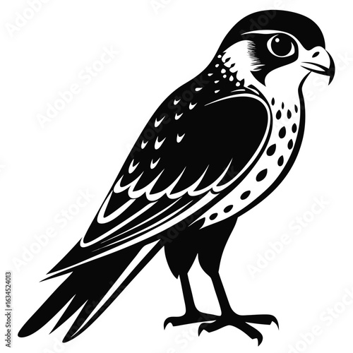 bird of prey