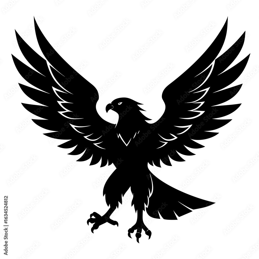 Obraz premium eagle with wings