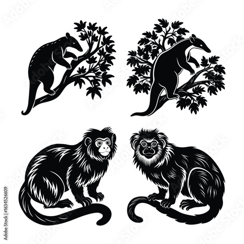 Photography Animal Bundle