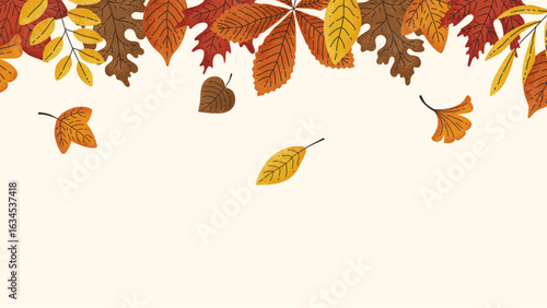Hand drawn autumn background. A frame of fall leaves. Decoration for Thanksgiving and Harvest Day. Horse chestnut, white oak, ginko, red maple, sycamore, birch, sweetgum tree, beech leaf.
