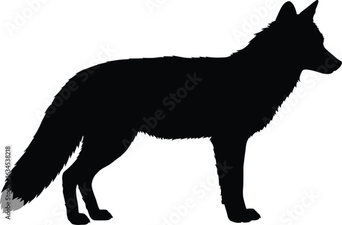 Silhouette of fox with white-tipped tail, wildlife animal, forest creature, nocturnal predator, elegant stance, nature art, isolated background