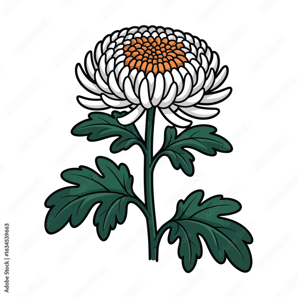Obraz premium Elegant white chrysanthemum flower with green leaves