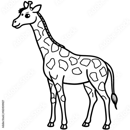 giraffe vector illustration