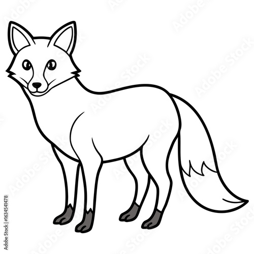 fox vector illustration