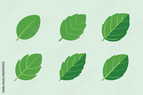 Six vibrant green leaves with detailed veins on a light green background