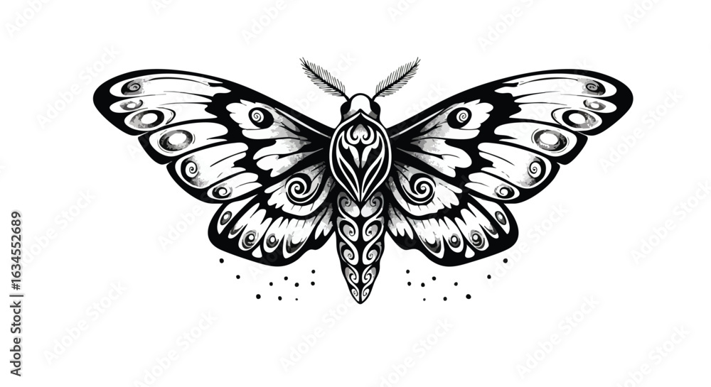 Obraz premium Black and White Vector Butterfly Illustration with Ornamental Details in Organic Style