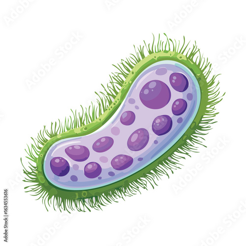 Green and Purple Fuzzy Microorganism Illustration