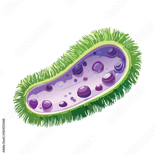 Purple Fuzzy Microorganism with Internal Structure