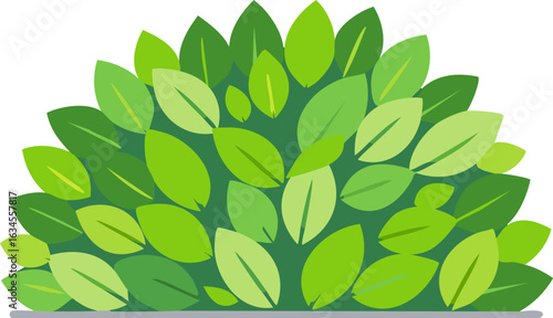 A bushy arrangement of green leaves in various shades, forming a natural foliage display.