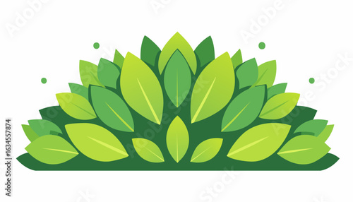 Symmetrical cluster of bright and dark green leaves, arranged like a lush garden crown.