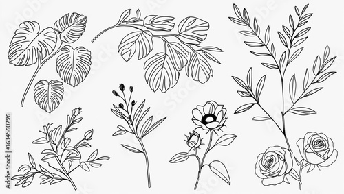 Wallpaper Mural Botanical Line Art Collection with Flowers and Leaves Torontodigital.ca