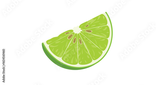Vector Illustration of Lime Slice in Fresh Organic Style with Bright Green and Light Green Colors
