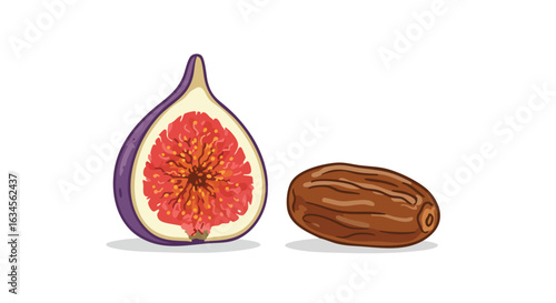 Vector Illustration of Figs and Date in Modern Organic Style with Natural Colors