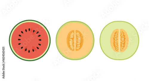 Minimalist Vector Illustration of Watermelon Cantaloupe and Honeydew Fruit Slices in Modern Organic Style