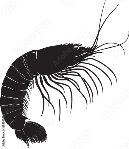 Shrimp Swimming Body curved with tail extended and legs moving in rhythmic strokes. full length silhouette black vector illustration