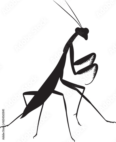 Praying Mantis Reaching Body stretched forward with forelegs extended, antennae following the movement. full length silhouette black vector illustration