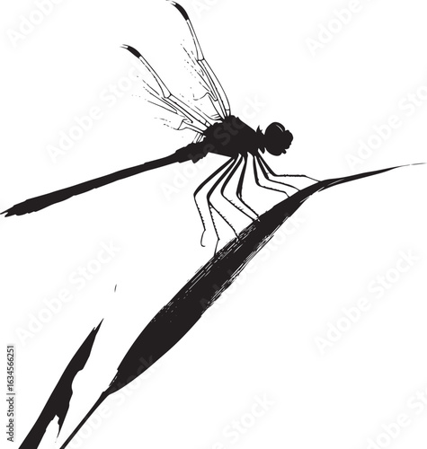 Dragonfly Resting on a Leaf Body upright on a leaf or twig, wings slightly spread, and legs firmly gripping the surface. Full-length silhouette black vector design.