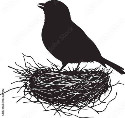 Robin Nesting Sitting inside a nest body low head alert wings tucked in. full length silhouette black vector illustration