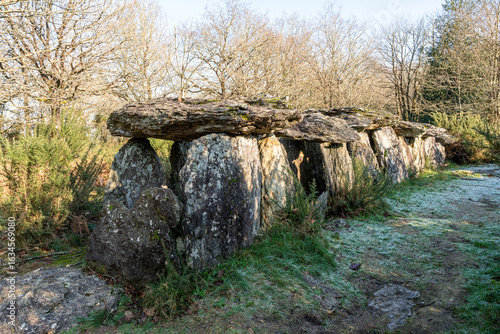 Site mégalithique de Bretagne