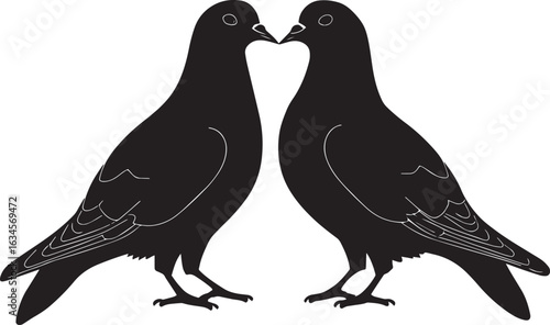 Pigeon Courting Two pigeons close together heads tilted wings slightly spread. full length silhouette black vector illustration