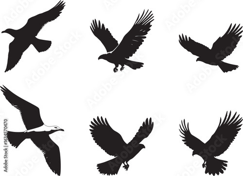 Seagull Flying Wings fully spread body in flight tail extended behind. full length silhouette black vector illustration
