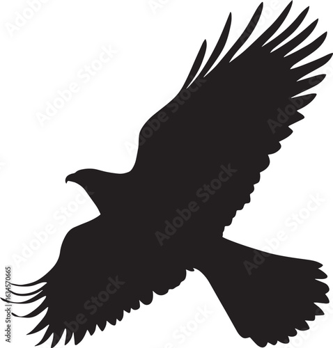 Hawk Soaring Gliding high in the air with wings held wide and body steady. full length silhouette black vector illustration
