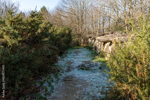 Site mégalithique de Bretagne