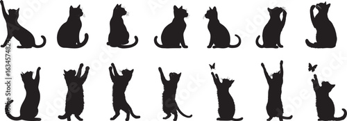 Sitting Cat Silhouette A relaxed cat sitting with tail curled around its paws. full length silhouette black vector illustration