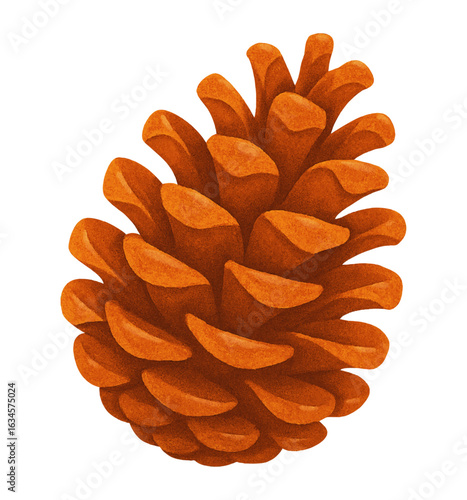 Realistic brown pine cone vector illustration, autumn forest theme, isolated on transparent background