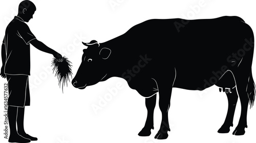 Person feeding cow silhouette, dairy farm scene, livestock care, rural life, hay feeding, black vector, agriculture, human animal interaction