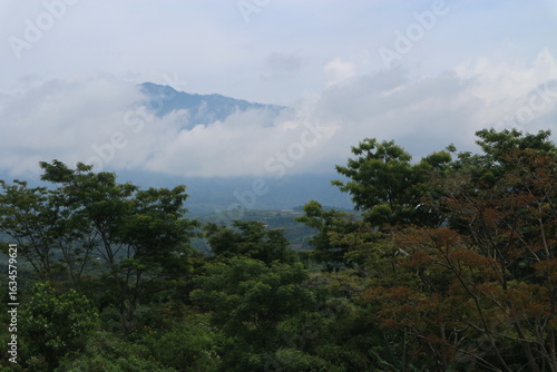 Wallpaper Mural Mountain Landscape and Blue Sky Majestic mountains with greenery and blue sky. Torontodigital.ca