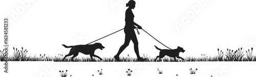 Silhouette, person walking dogs, leash in hand, grassy field, pet activity, nature plants, vector art, black graphic, outdoor scene, companionship