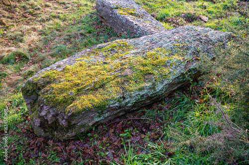 Menhir et dolmen