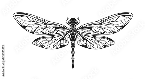 Vector Illustration of Dragonfly in Ornamental Style with Intricate Wing Details