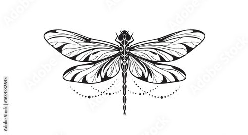 Minimalist Vector Illustration of Dragonfly with Intricate Wing Patterns in Black and White Style